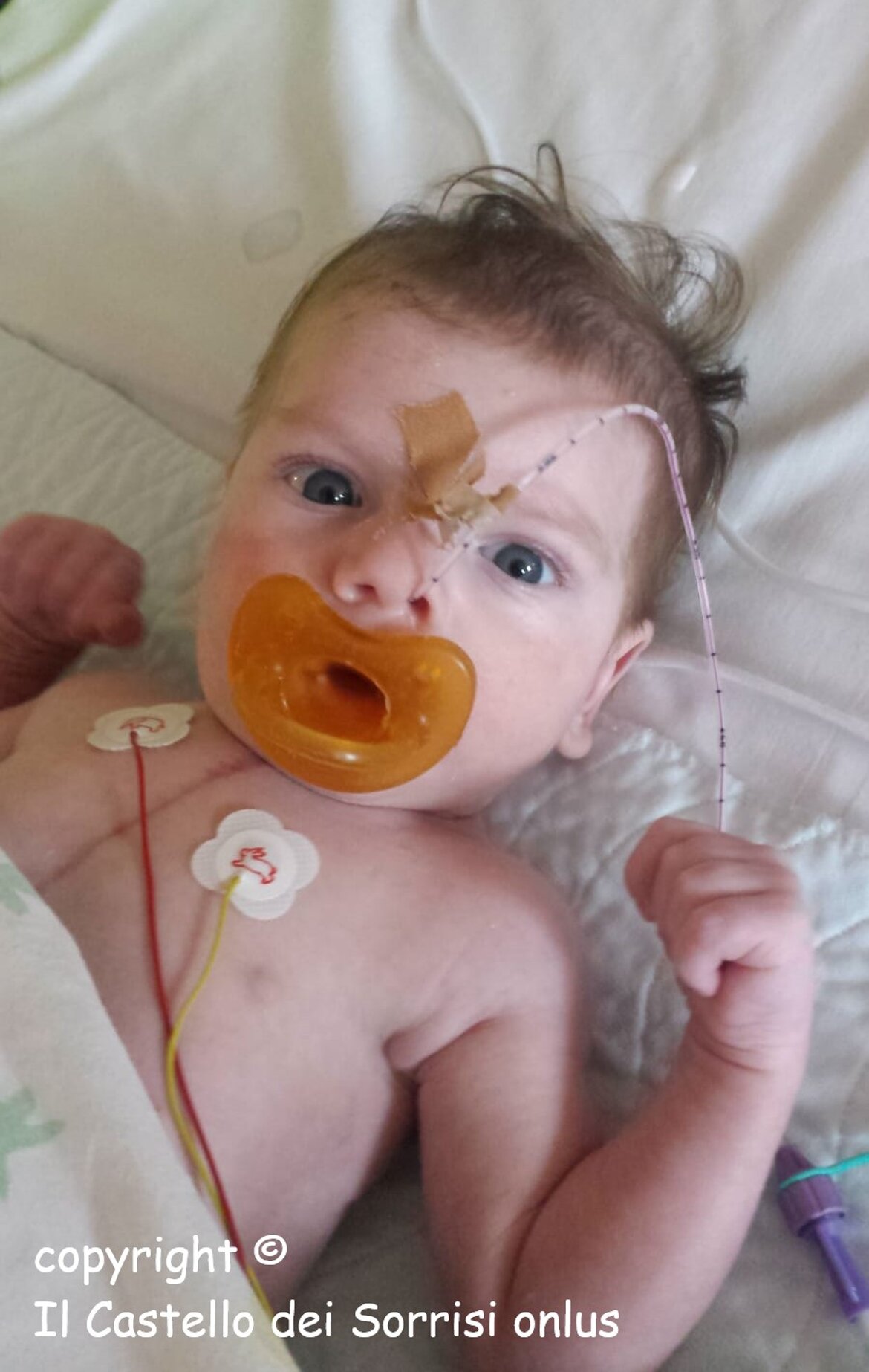 finalmente sveglio !!! finalmente sveglio !!!