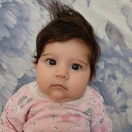 511e6074-f684-4e89-af06-f98d6011c07d 511e6074-f684-4e89-af06-f98d6011c07d