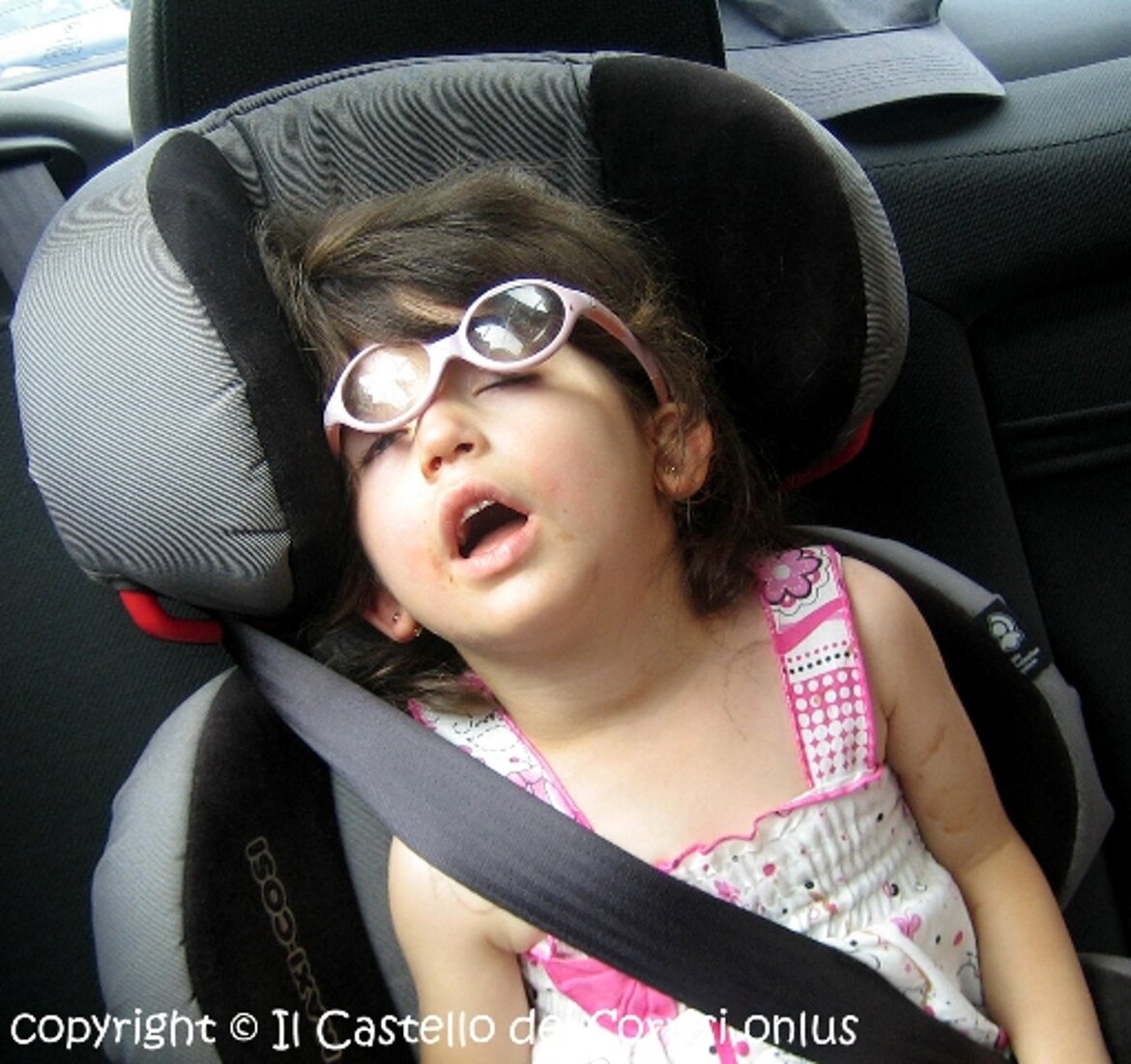 che stanchezza essere sempre in giro !!! che stanchezza essere sempre in giro !!!