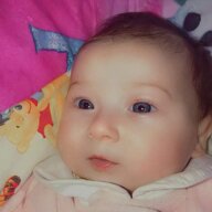 74b7acd9-fc4a-4b86-99ed-32ba15e20801.jpeg 74b7acd9-fc4a-4b86-99ed-32ba15e20801.jpeg