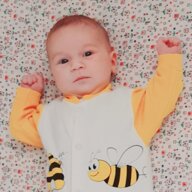 6772daace9191be10b28943eb07e6e06e2fd818d 6772daace9191be10b28943eb07e6e06e2fd818d