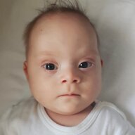 idrizi uejs - foto1.jpeg