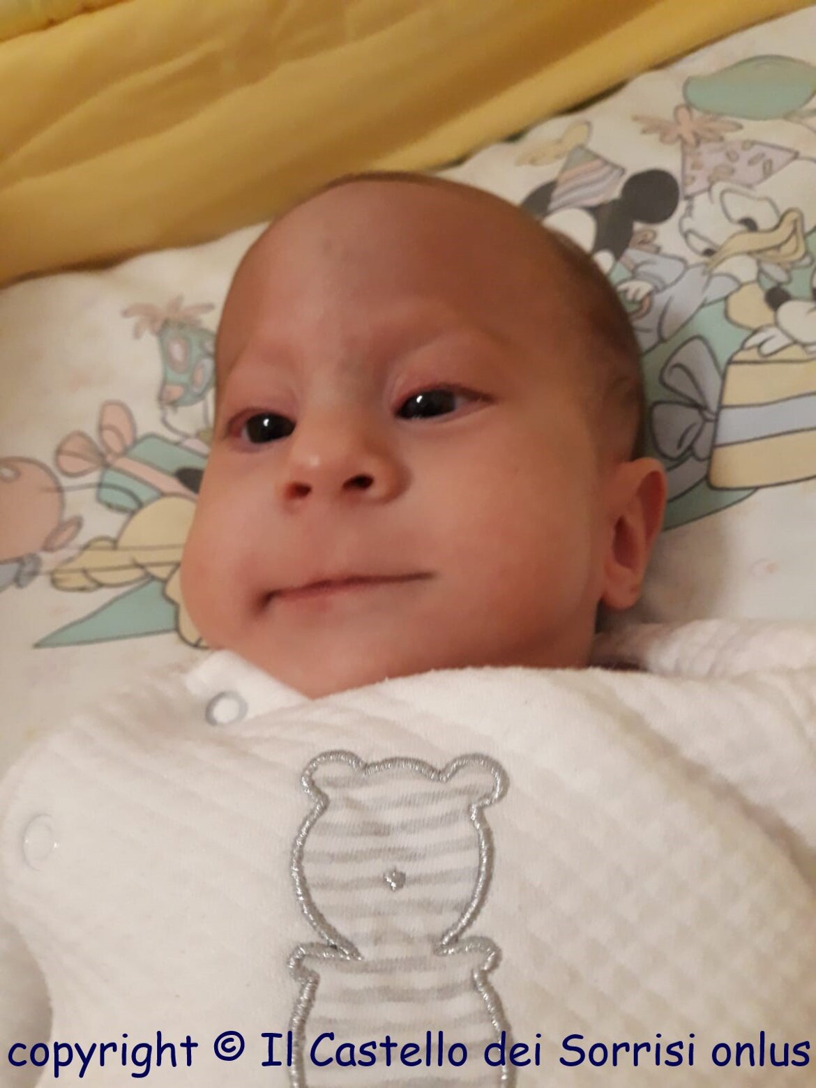 ... e sguardo attento!!! ... e sguardo attento!!!