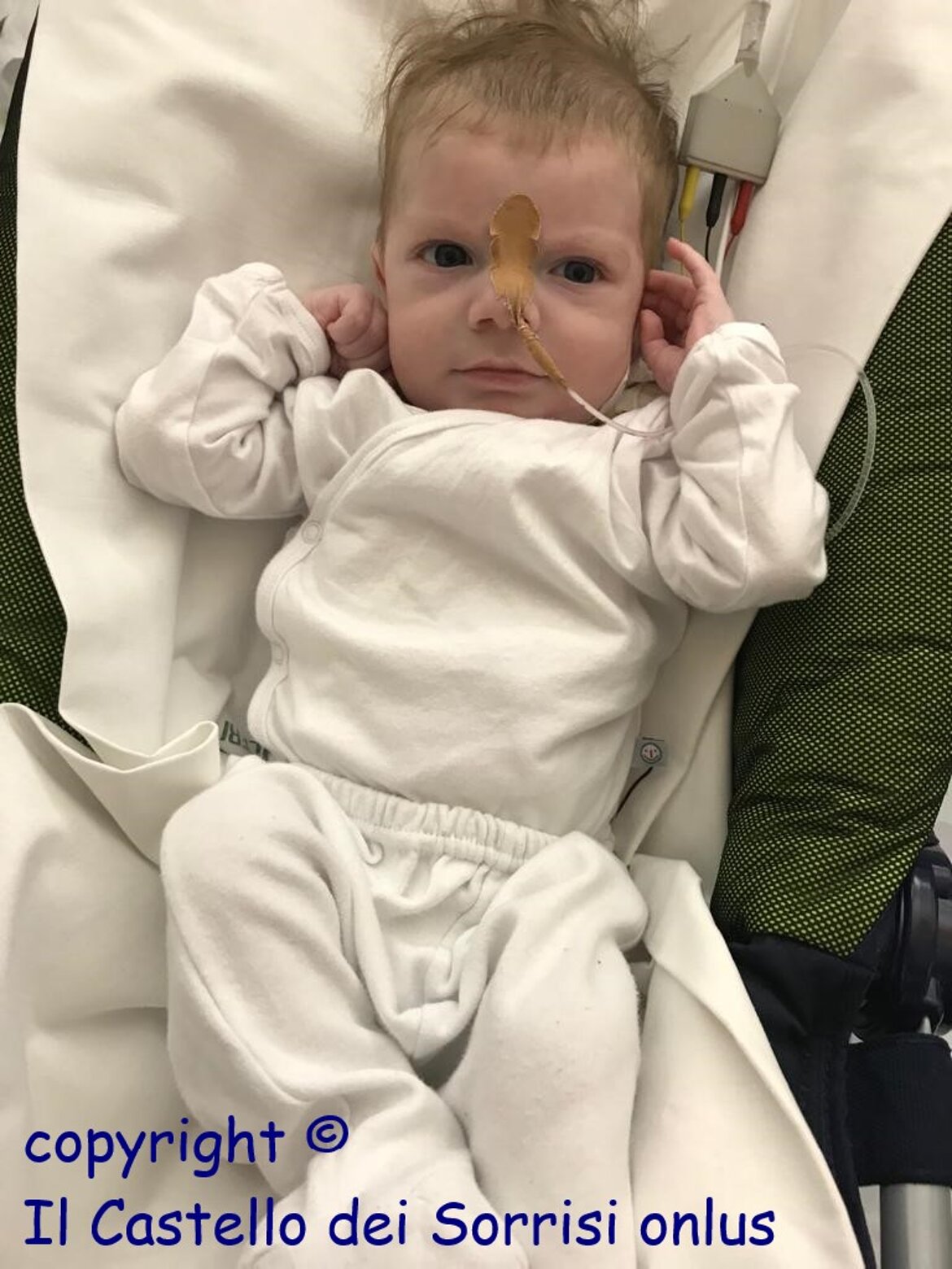 - giorno di rinascita !!! - giorno di rinascita !!!