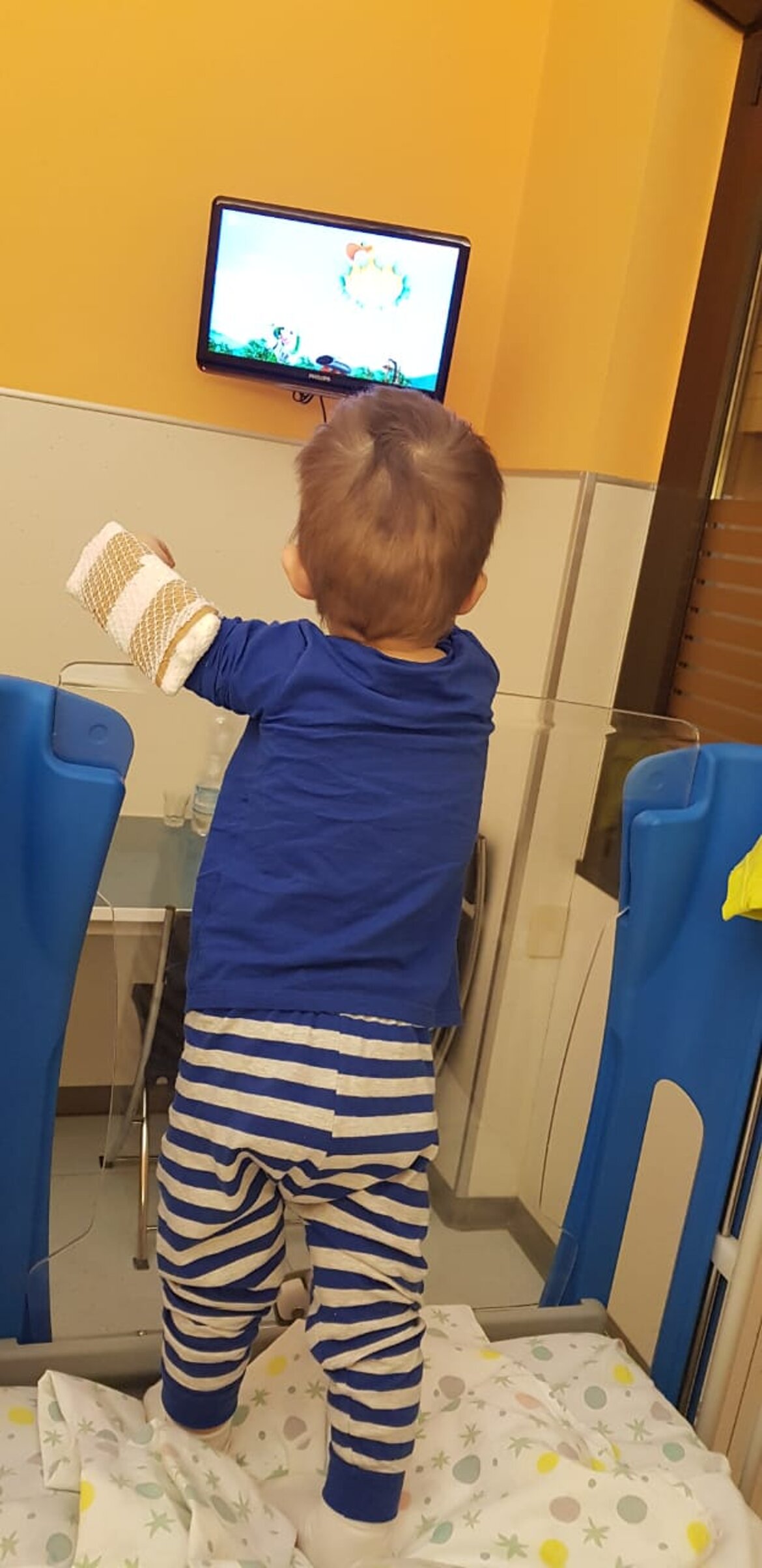 Per fortuna c'è la TV Per fortuna c'è la TV