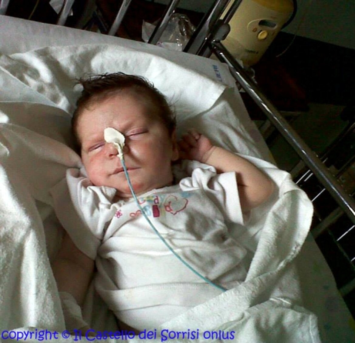 il mio sangue gira bene ... e io me la dormo !!! il mio sangue gira bene ... e io me la dormo !!!