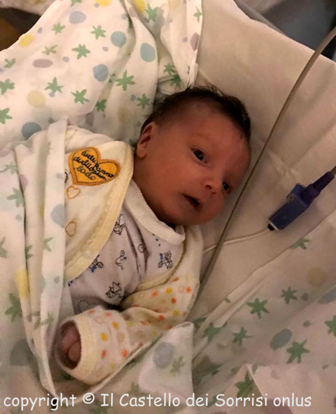 finita la diagnostica ... manca solo l'intervento !!! finita la diagnostica ... manca solo l'intervento !!!