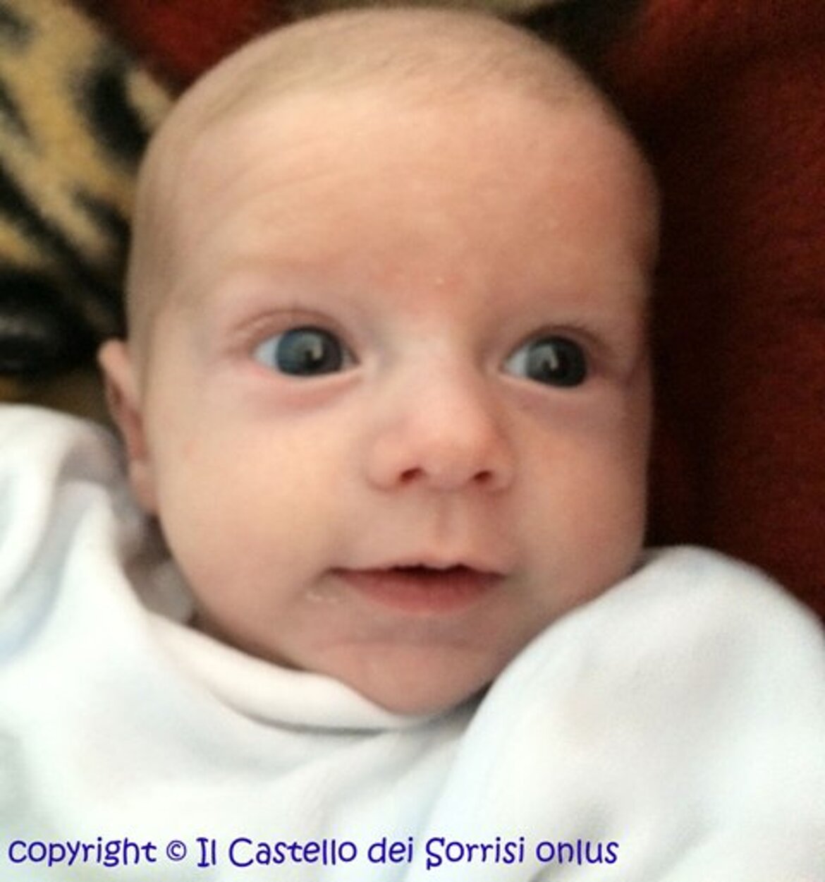 - il nostro Bambin Ges 2013