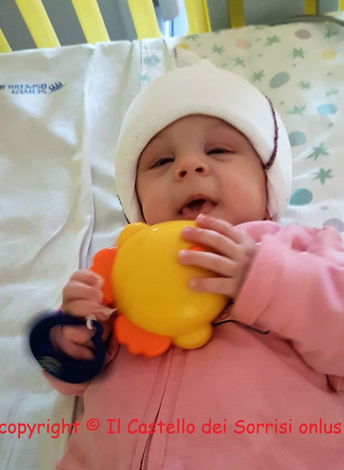 - felicità !!! - felicità !!!