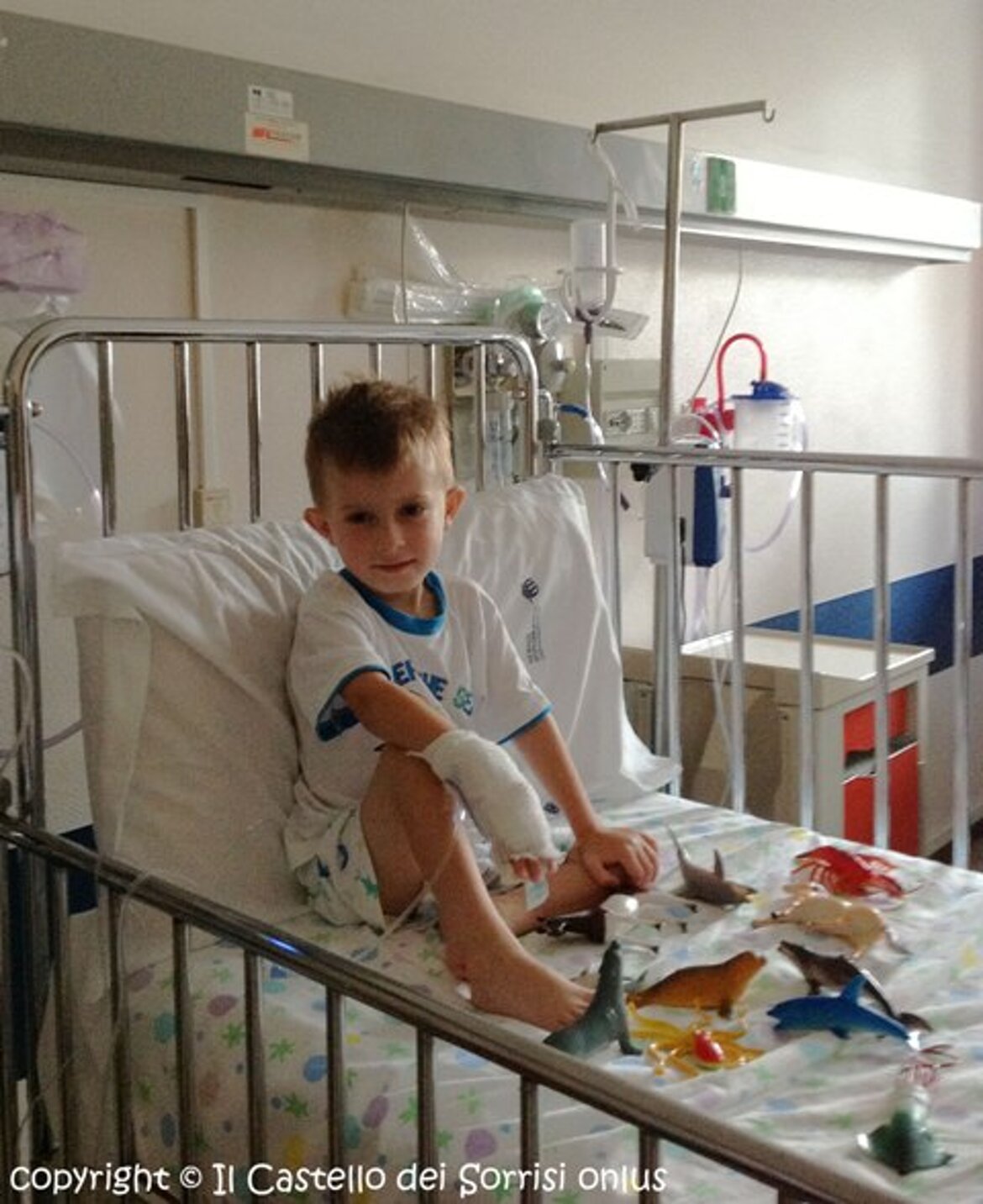 il mio zoo ... con le sbarre !!! il mio zoo ... con le sbarre !!!