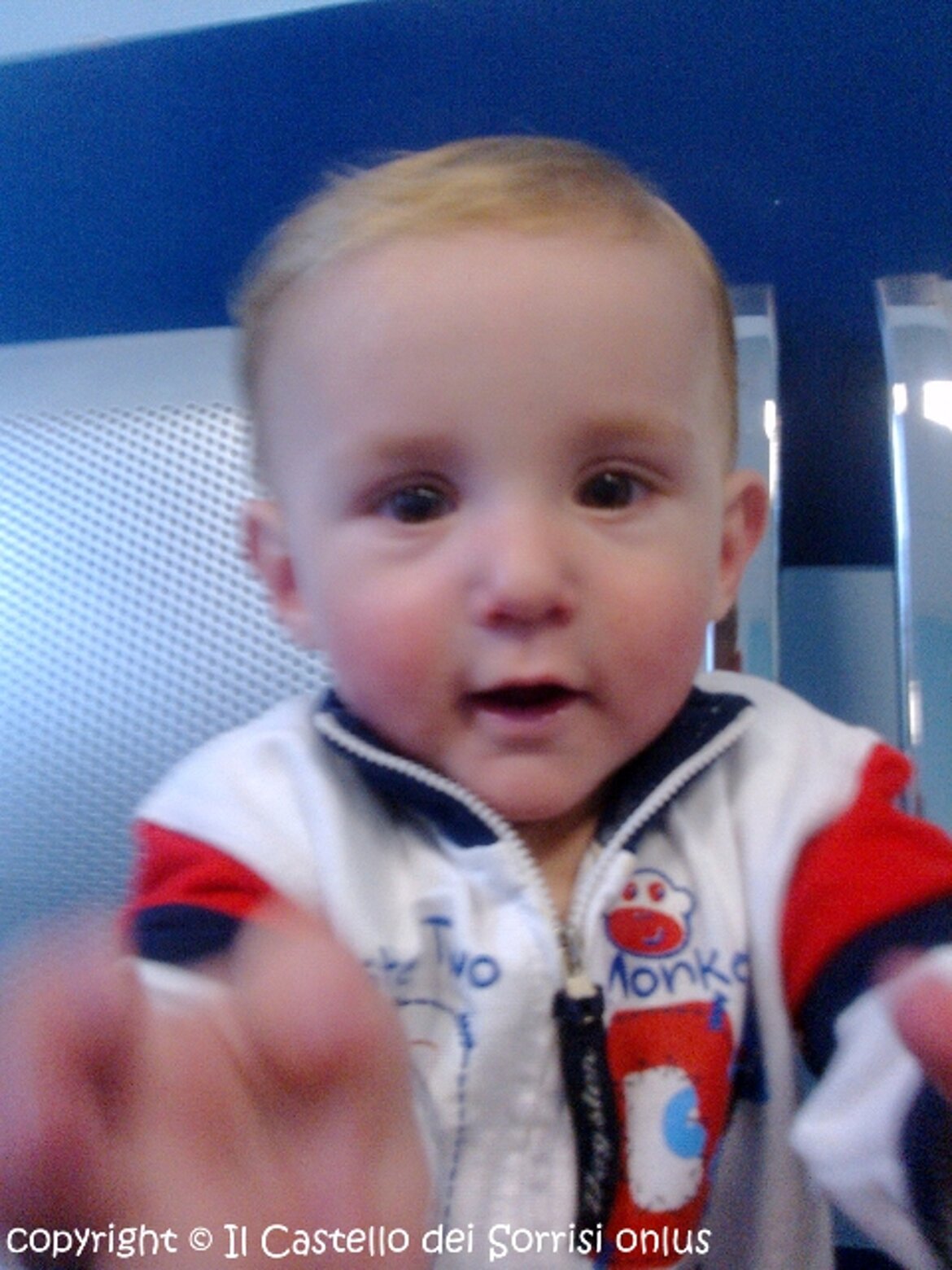 dammi la macchina fotografica !!! dammi la macchina fotografica !!!