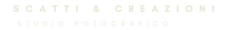 logo solo scritta logo solo scritta