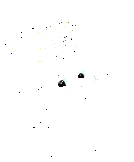 libro-imagen-animada-0019