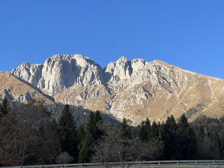 img_3395.jpeg