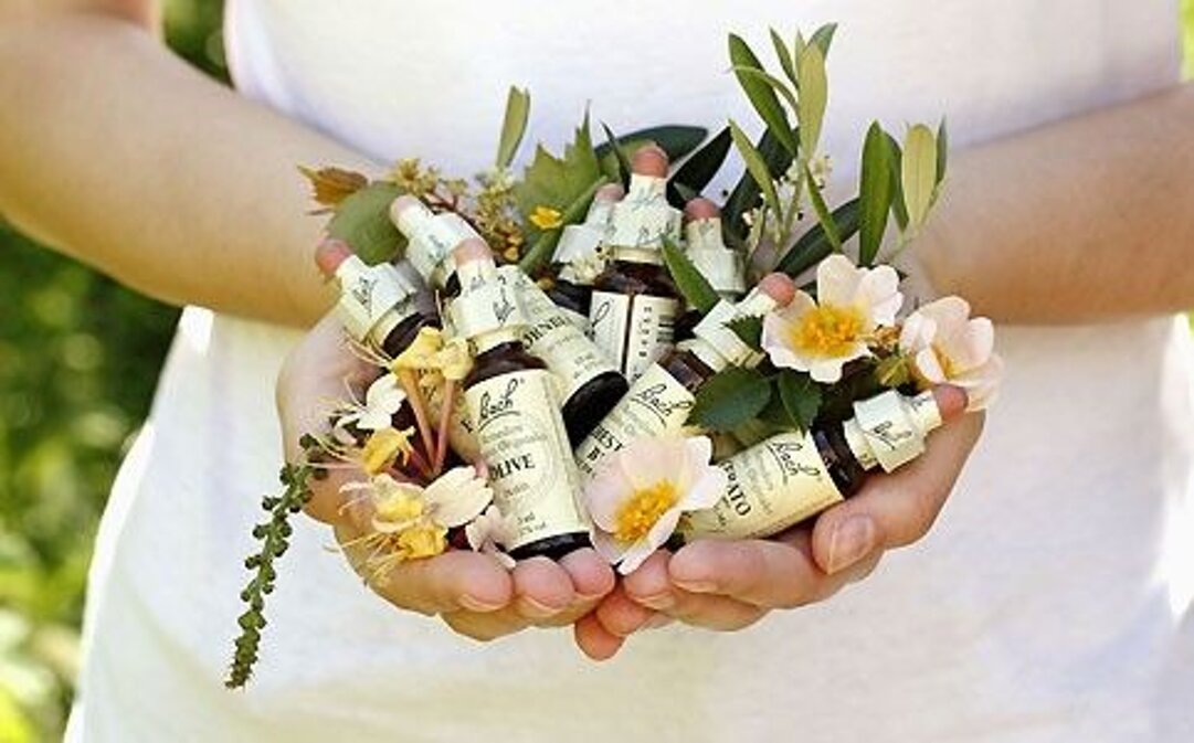 28b2b887-81a9-4326-acc4-6301d7eb4689 28b2b887-81a9-4326-acc4-6301d7eb4689