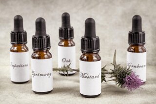 picsbyfran-bach-flower-remedy-2785144_1920.jpeg picsbyfran-bach-flower-remedy-2785144_1920.jpeg