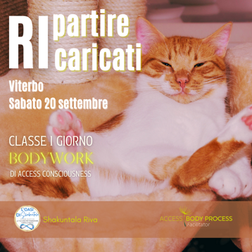 d96788f3-3ed0-42ea-94d8-e014f416eca3