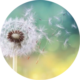 9999c3bb-d921-47b1-8cb3-b9073e7e8480