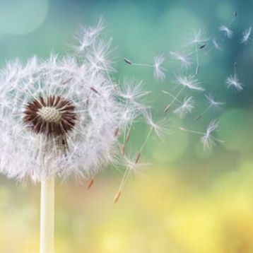 78051b11-b017-4642-8491-0f1cd53838a9