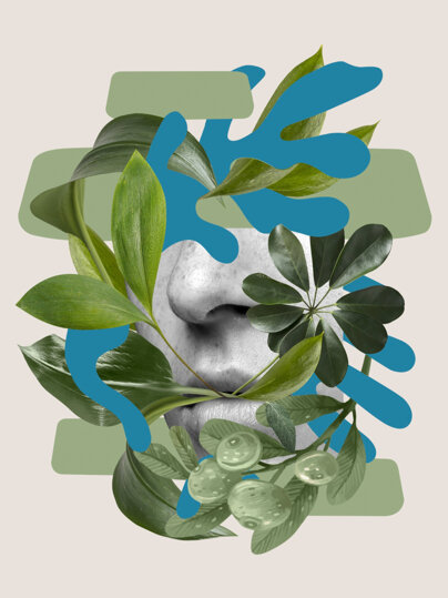 senso-olfattivo-e-collage-di-piante.jpeg