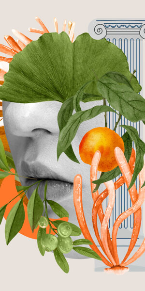 senso-olfattivo-e-collage-di-piante.jpeg