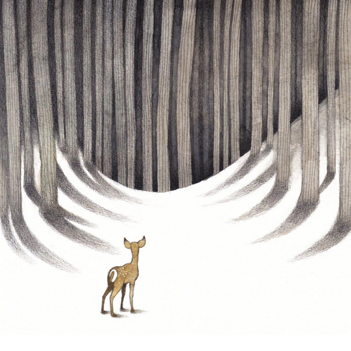 fronte cover tu verrai d'estate