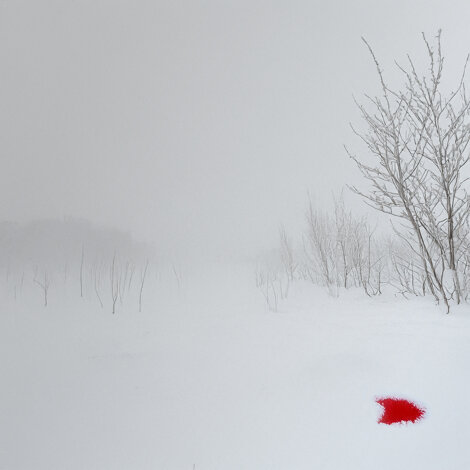 stefan%20official%20cover%20digital