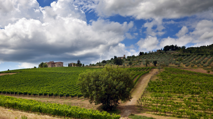 cef056666e47623c799e6f9fb862ff2d97eba2d6 cef056666e47623c799e6f9fb862ff2d97eba2d6