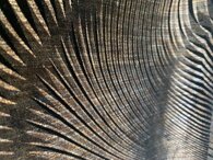 4baf4ac247fb48b679e20030f106ce4f6660f5c6