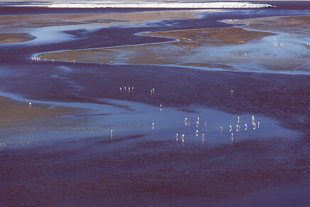 008b42aa6fdb82f4213cf471ad5095d34ed59b76