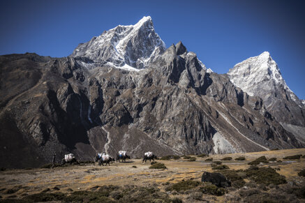 5630efc00f85f6cc649758637f31dbf022d3b518