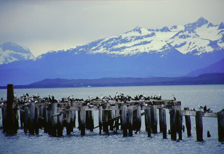 823397b39dcd3b9d33e8bb8f2d30662d661a8c58