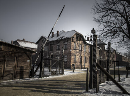 922799682310b36f04de2577166b63d69645f0db