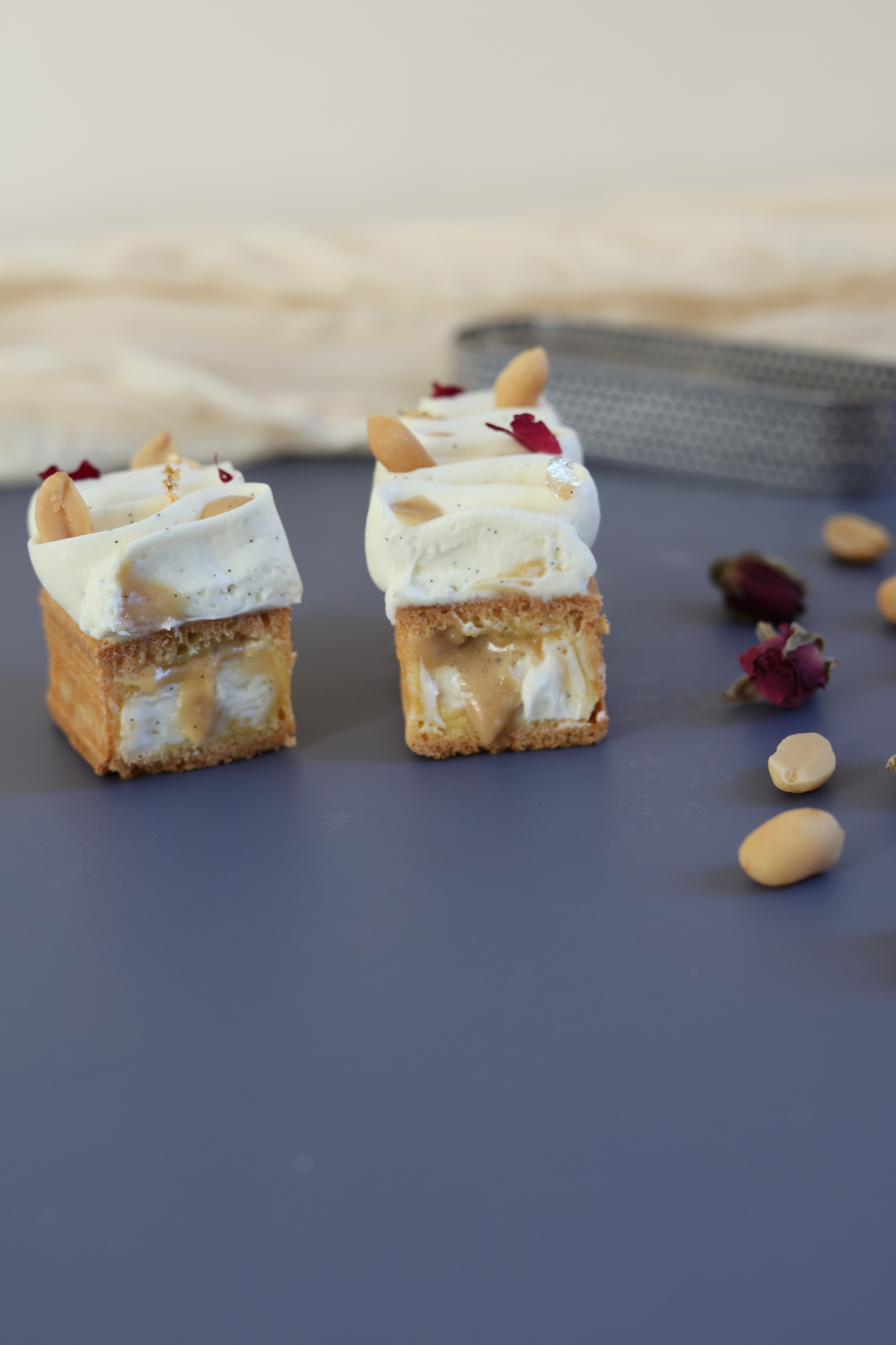 img_1654.jpeg img_1654.jpeg