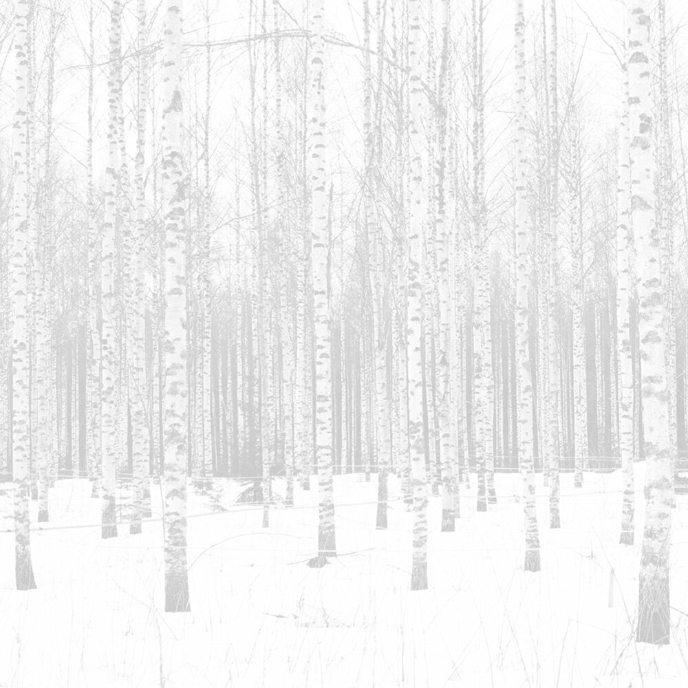 BETULLA-Birkensaft-background-2_konvex-visuelle-kommunikation