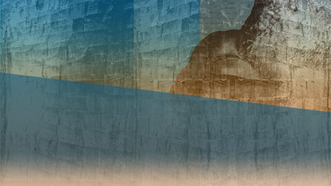 Deutsche-Dante-Gesellschaft-background_konvex-visuelle-kommunikation