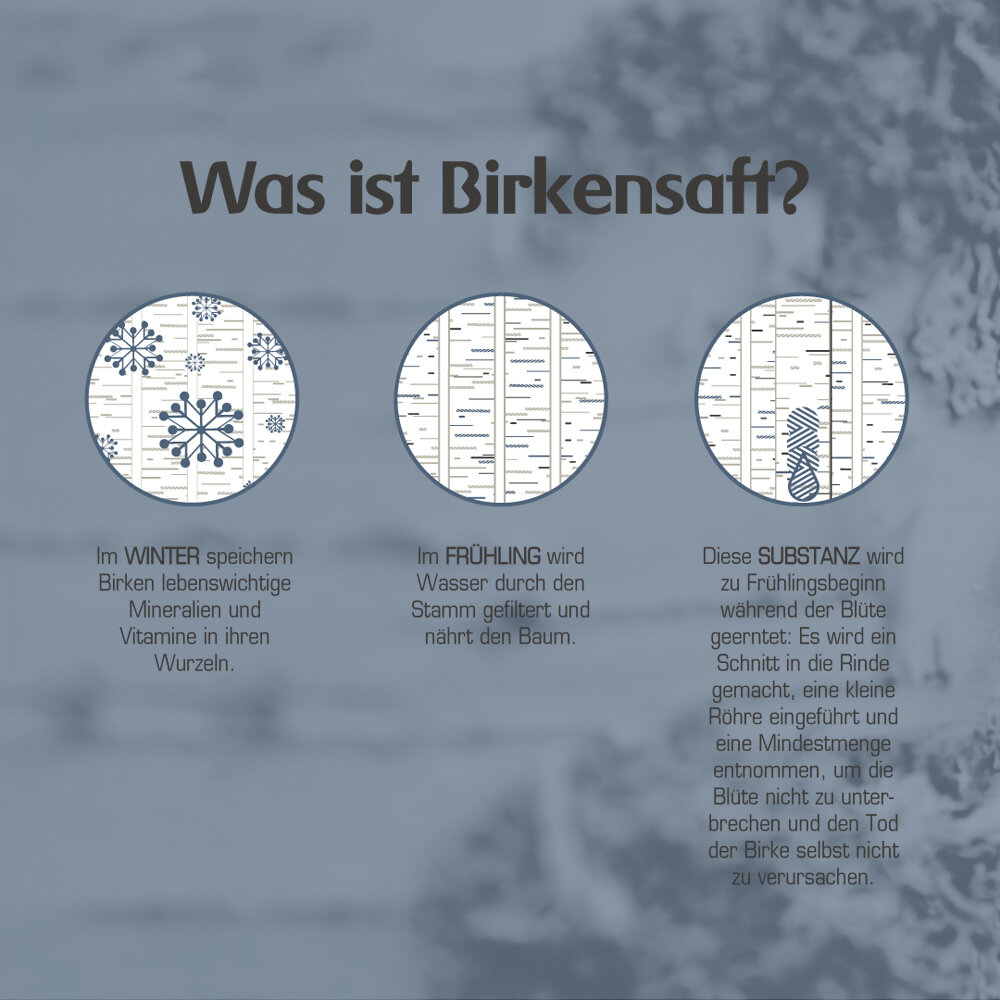 Was-ist-Birkensaft_konvex-visuelle-kommunikation