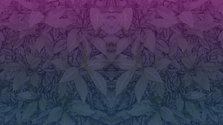 projekt-home-sex&gender_konvex-de-copy.jpeg