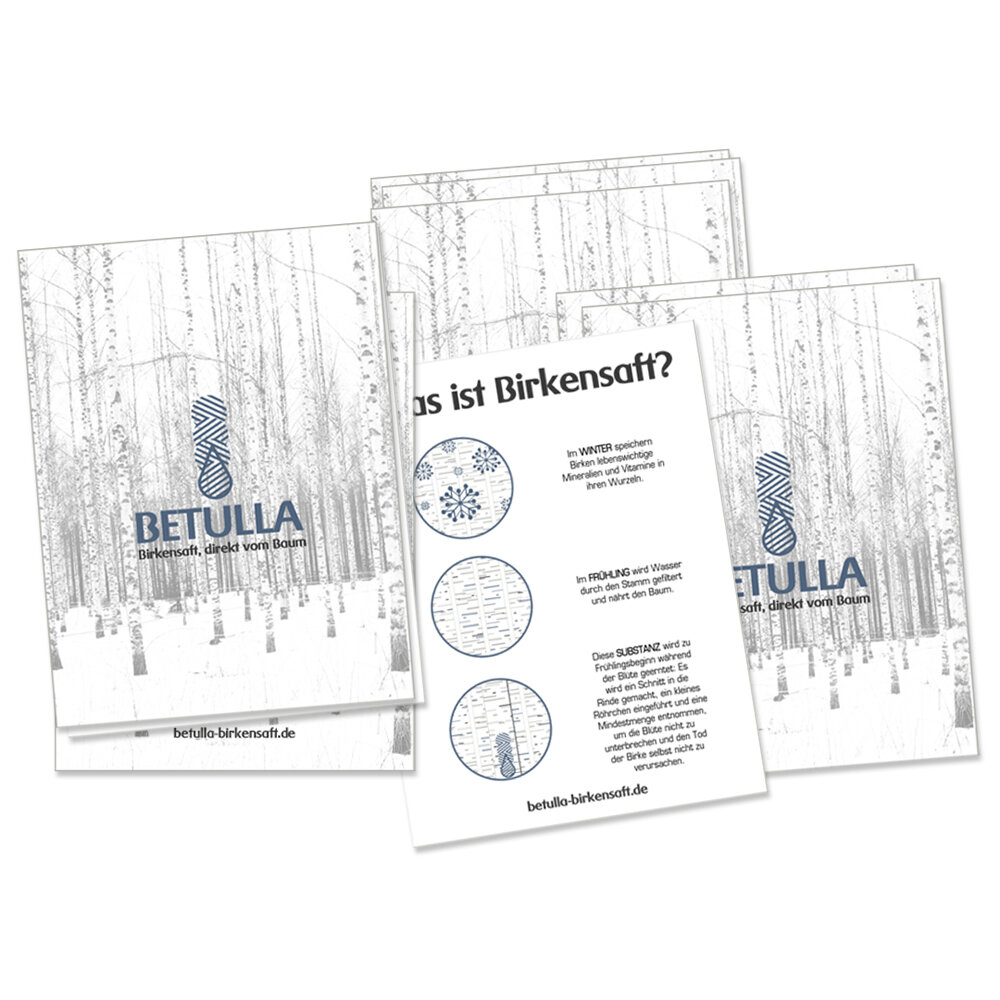 BETULLA-Birkensaft-postkarte-bild-3_konvex-visuelle-kommunikation