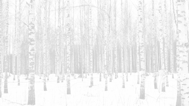 BETULLA-Birkensaft-background_konvex-visuelle-kommunikation