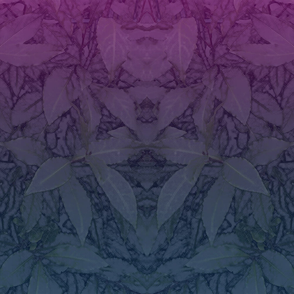 projekte_sex&gender-3_konvex-de.jpeg