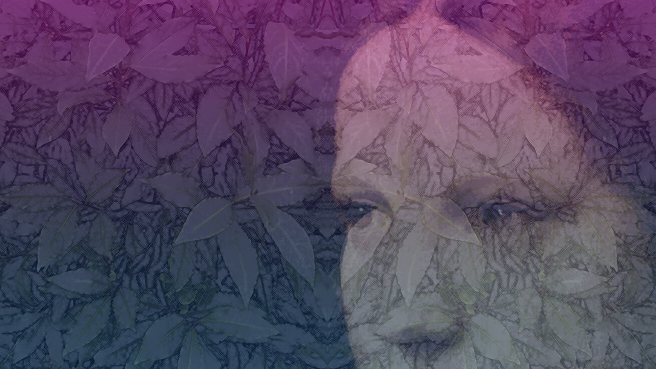colorimetria