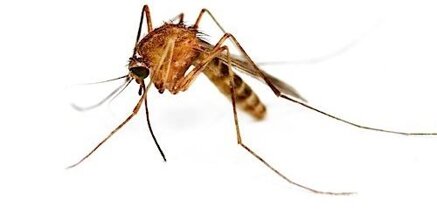 1b3d937a02a690aa6983748f8c79f0b8c73ef830