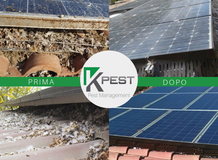 2c587a192b6ff1857cc69acc2ee24ecd9653524b