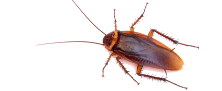 e5b340f5167d265682c939687faafad4f5f3e50e