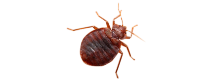 8a2d8233-8b89-4a62-8c07-4751cfcdd6e5 8a2d8233-8b89-4a62-8c07-4751cfcdd6e5