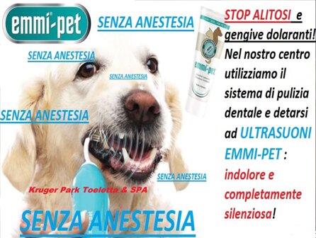 e91285da44598f91547a82b74bb275e6246431d1