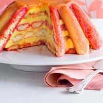 biszkopty dwukolorowe i zolty krem cukierniczy - przepis Pellegrino Artusi biszkopty dwukolorowe i zolty krem cukierniczy - przepis Pellegrino Artusi