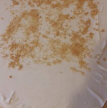 Ulozylam na 2/3 powierzchni ciasta podsmazona na masle tarta bulke.