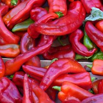 corno rosso corno rosso - czerwony rog. Charakteryzuje sie mocnym smakiem, doskonala duszona z kurczakiem. corno rosso corno rosso - czerwony rog. Charakteryzuje sie mocnym smakiem, doskonala duszona z kurczakiem.